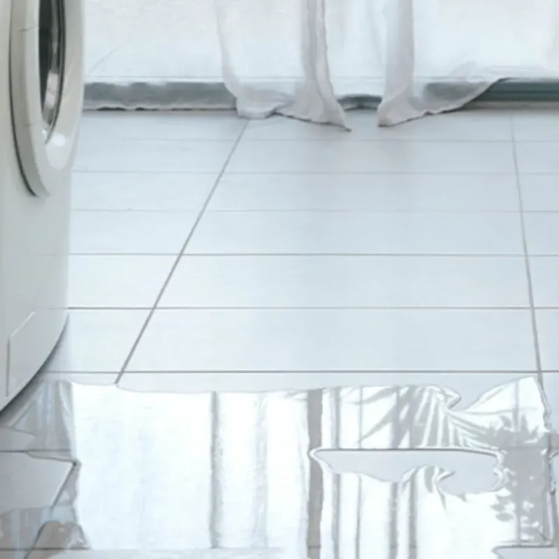 Appliance Leak Cleanup in New Boston, TX