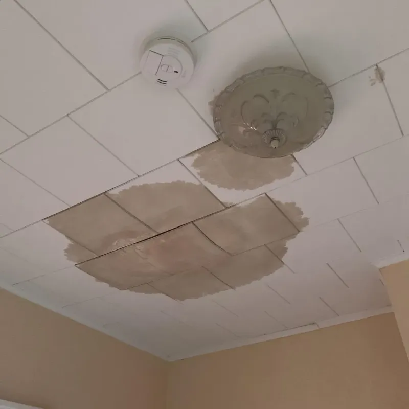 Ceiling Water Damage Repair in New Boston, TX
