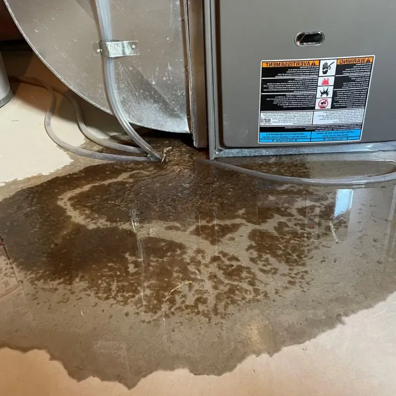 Pipe Burst and Leak Restoration in New Boston, TX