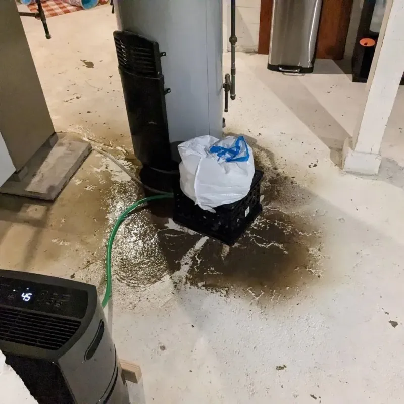 Sewage Backup Cleanup Service in New Boston, TX